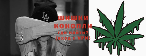 эйфоретик Белокуриха