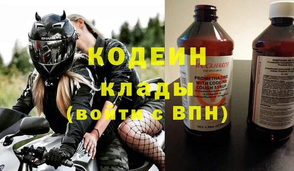 прущие грибы Бугульма