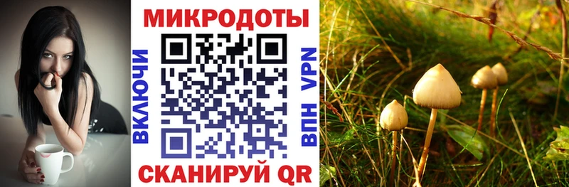 Галлюциногенные грибы мицелий  дарнет шоп  сайты даркнета Telegram  Владивосток 